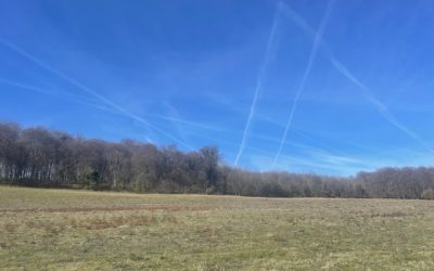 Pishill Circular Walk via Christmas Common – Saturday 21st March 2026 – 09:30