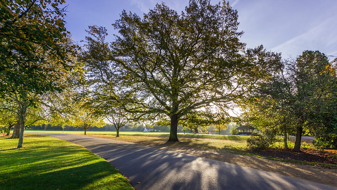 Dulwich Park and Picture Gallery – Wed 11 Feb 2026