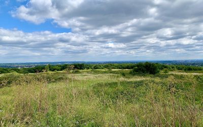 Moor Park linear walk – Friday 27th March 2026 –